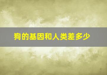 狗的基因和人类差多少