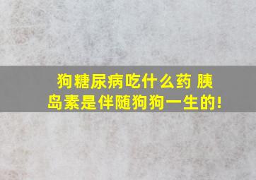 狗糖尿病吃什么药 胰岛素是伴随狗狗一生的!