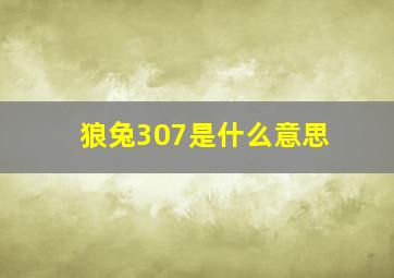 狼兔307是什么意思