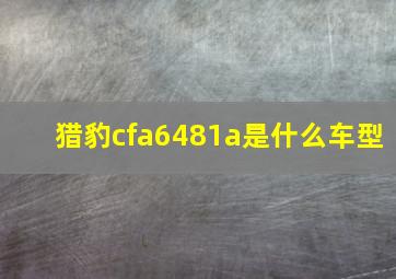 猎豹cfa6481a是什么车型