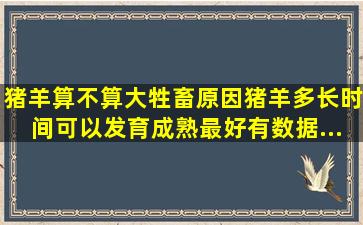 猪、羊算不算大牲畜(原因(猪、羊多长时间可以发育成熟(最好有数据...