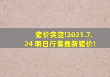 猪价突变!2021.7.24 明日行情最新猪价!