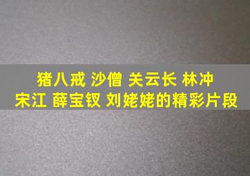 猪八戒 沙僧 关云长 林冲 宋江 薛宝钗 刘姥姥的精彩片段