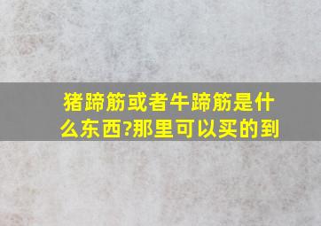 猪蹄筋或者牛蹄筋是什么东西?那里可以买的到