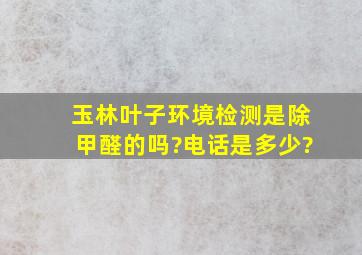 玉林叶子环境检测是除甲醛的吗?电话是多少?