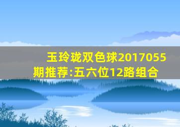 玉玲珑双色球2017055期推荐:五六位12路组合 