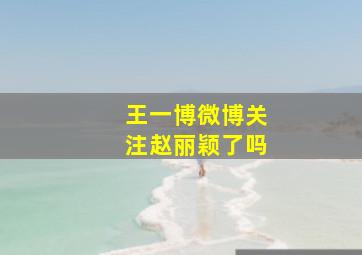 王一博微博关注赵丽颖了吗