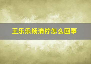 王乐乐杨清柠怎么回事