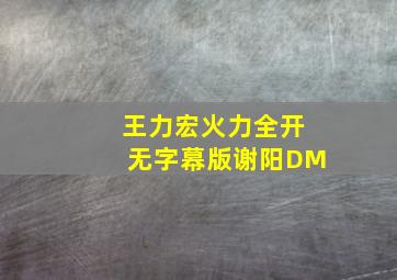 王力宏  火力全开无字幕版谢阳DM