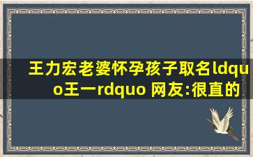 王力宏老婆怀孕孩子取名“王一” 网友:很直的名字娱乐