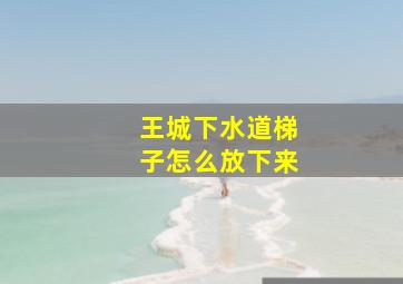 王城下水道梯子怎么放下来