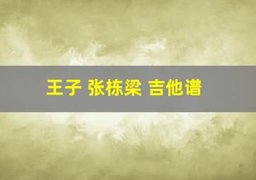 王子 张栋梁 吉他谱