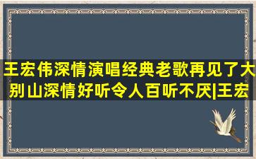 王宏伟深情演唱经典老歌《再见了大别山》深情好听,令人百听不厌|王宏...