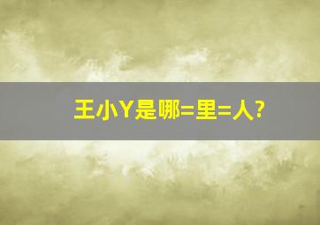 王小Y是哪=里=人?