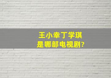 王小幸丁学琪是哪部电视剧?