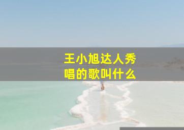 王小旭达人秀唱的歌叫什么