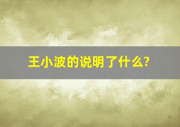 王小波的说明了什么?