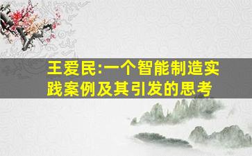 王爱民:一个智能制造实践案例及其引发的思考 