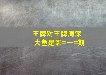 王牌对王牌周深大鱼是哪=一=期