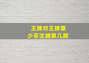 王牌对王牌蔡少芬沈腾第几期