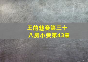 王的魅妾第三十八房小妾第43章