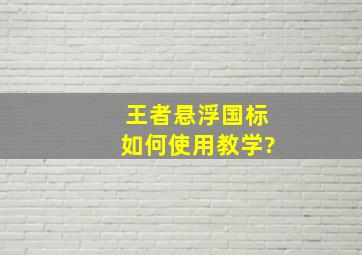 王者悬浮国标如何使用教学?