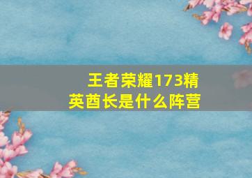 王者荣耀173精英酋长是什么阵营