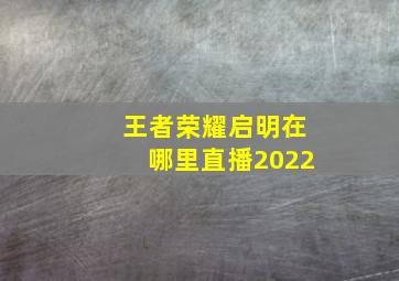 王者荣耀启明在哪里直播2022