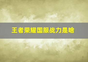 王者荣耀国服战力是啥