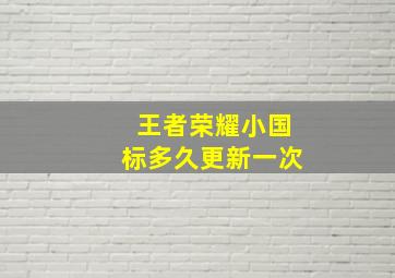 王者荣耀小国标多久更新一次