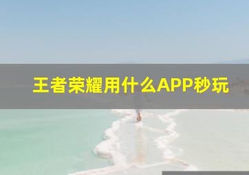 王者荣耀用什么APP秒玩