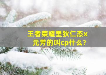 王者荣耀里狄仁杰x元芳的叫cp什么?