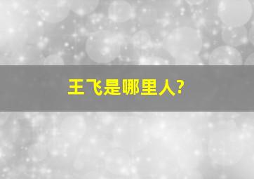 王飞是哪里人?