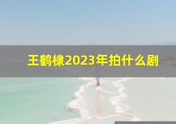 王鹤棣2023年拍什么剧