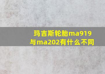 玛吉斯轮胎ma919与ma202有什么不同