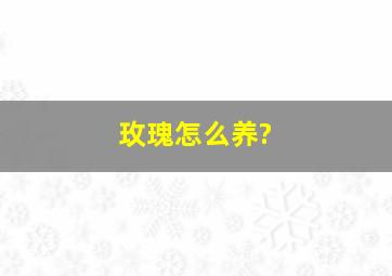 玫瑰怎么养?