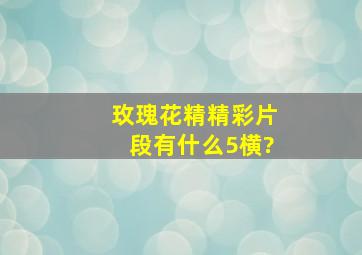 玫瑰花精精彩片段有什么5横?