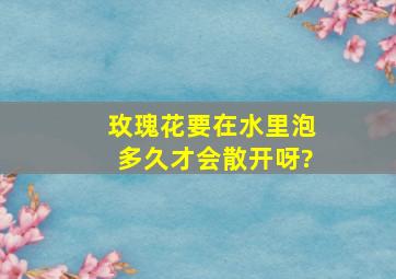 玫瑰花要在水里泡多久才会散开呀?