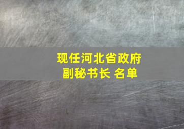 现任河北省政府 副秘书长 名单