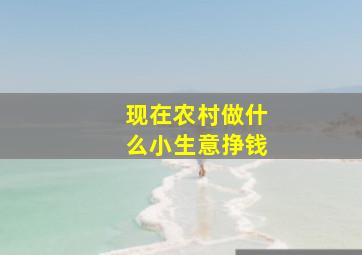 现在农村做什么小生意挣钱