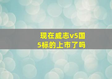 现在威志v5国5标的上市了吗