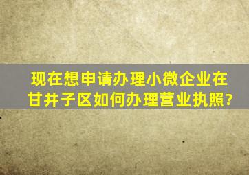 现在想申请办理小微企业在甘井子区,如何办理营业执照?