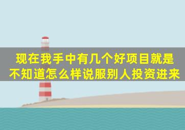 现在我手中有几个好项目就是不知道怎么样说服别人投资进来(