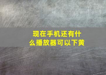 现在手机还有什么播放器可以下黄