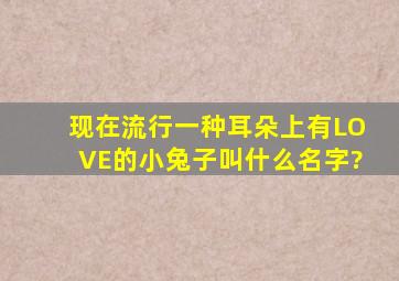 现在流行一种耳朵上有LOVE的小兔子,叫什么名字?