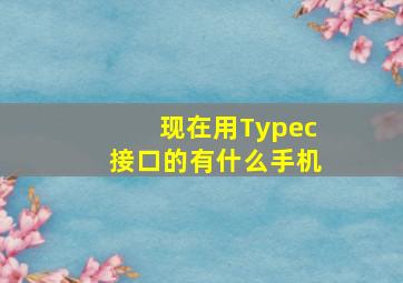 现在用Typec接口的有什么手机