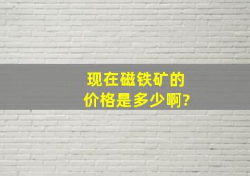 现在磁铁矿的价格是多少啊?