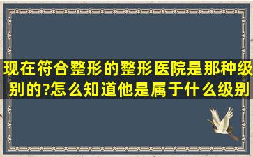 现在符合整形的整形医院是那种级别的?怎么知道他是属于什么级别的