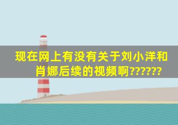 现在网上有没有关于刘小洋和肖娜后续的视频啊??????