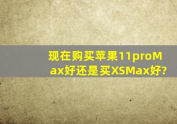 现在购买苹果11proMax好还是买XSMax好?